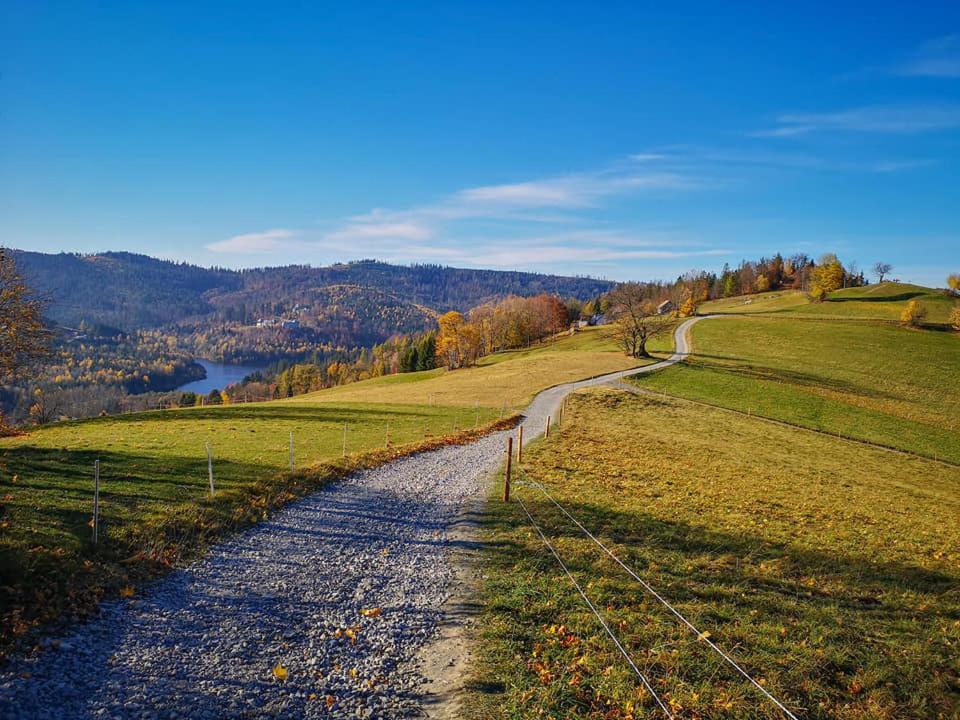 Willa Ksiezowka - Wislanka Exteriör bild